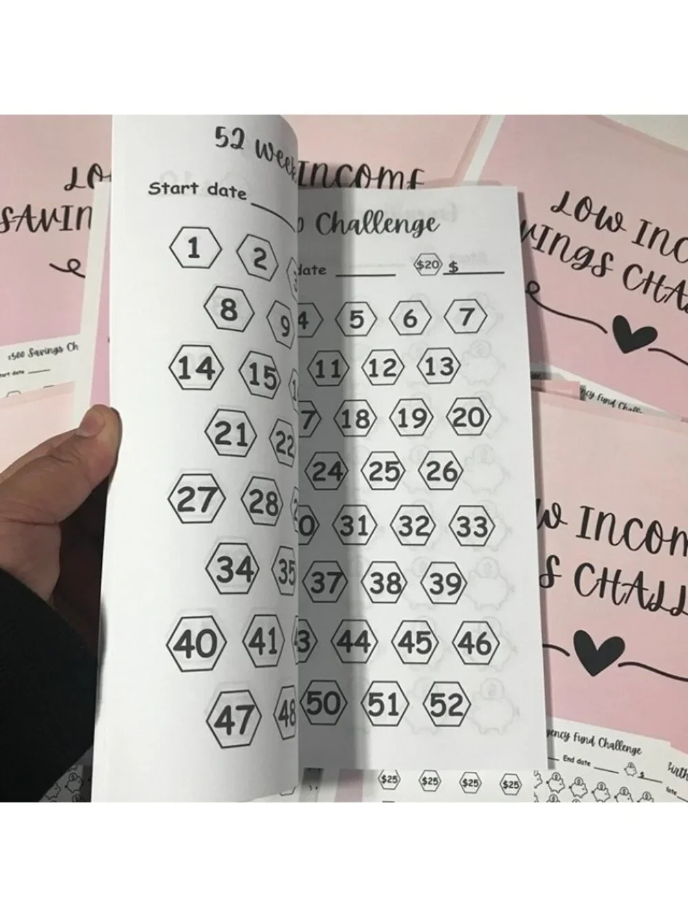 Savings challenges book 20+ challenges